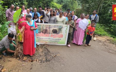 കാഞ്ചിയാർ അഞ്ചുരുളി റോഡിന്റെ ശോച്യാവസ്ഥയ്ക്ക് പരിഹാരമില്ല; നാട്ടുകാർ
റോഡിലെ കുഴിയിൽ വാഴ നട്ട് പ്രതിഷേധിച്ചു