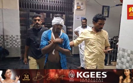 കാട്ടുപോത്ത് ആക്രമണത്തിൽ ഇടമലക്കുടി നിവാസികളായ രണ്ട് യുവാക്കൾക്ക് പരിക്ക്