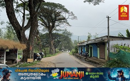 വണ്ടിപ്പെരിയാർ മൂങ്കലാർ റോഡിൽ വാളാടിയിൽ റോഡരുകിൽ അപകട ഭീതി പരത്തി നിൽക്കുന്ന വൻ മരങ്ങളുടെ ശിഖരങ്ങൾ ശരിയായ രീതിയിൽ മുറിച്ചു നീക്കണമെന്ന് ആവശ്യം ശക്തം