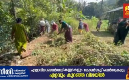 കട്ടപ്പന നഗരസഭ വാർഡ് 27  തോവരയാർ ആഞ്ഞിലിപ്പാലത്തെ നഗരസഭാ വക സ്ഥലത്ത് ഭാവി പദ്ധതികൾ ആവിഷ്കരിക്കുന്നതിന് ശുചീകരണം നടത്തി