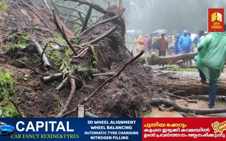 കുമളി മല ചുരത്തിൽ മരം വീണ് ഗതാഗതക്കുരുക്ക്