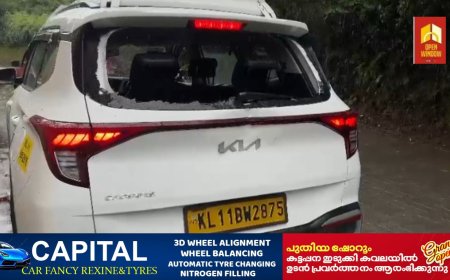 മൂന്നാറില്‍ വീണ്ടും പടയപ്പയുടെ ആക്രമണം