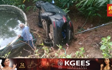 പൂപ്പാറ തലകുളത്ത് വിനോദ സഞ്ചാരികളുടെ വാഹനം മറിഞ്ഞ്  അപകടം;അഞ്ച് പേർക്ക് പരുക്ക്