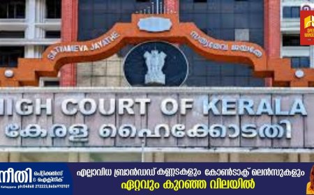 വണ്ടിപ്പെരിയാറിൽ ആറു വയസ്സുകാരിയെ പീഡിപ്പിച്ച് കൊലപ്പെടുത്തിയ കേസിലെ വിധിക്കെതിരെ കുടുംബം ഹൈക്കോടതിയിൽ നൽകിയ അപ്പീലിൽ സർക്കാർ പബ്ലിക് പ്രോസിക്യൂട്ടറെ നിയമിക്കാത്തതിനാൽ വാദം തുടങ്ങാനായില്ല