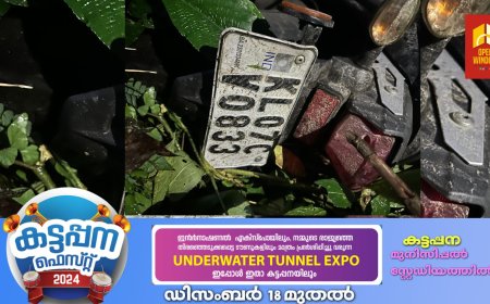 നേര്യമംഗലം നീണ്ടപാറയിൽ കാട്ടാന തള്ളിയിട്ട പനമരം വീണ് 
പരിക്കേറ്റ വിദ്യാർത്ഥിനി മരിച്ചു