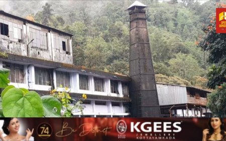 പീരുമേട്ടിലെ ഹെലിബറിയ ടീ കമ്പിനി ഉടമ പൂട്ടി. മുൻകൂർ നോട്ടീസ് നൽകാതെയുള്ള മാനേജ്മെൻ്റിൻ്റെ ധിക്കാര നടപടിക്കെതിരെ പ്രതിഷേധം ശക്തം