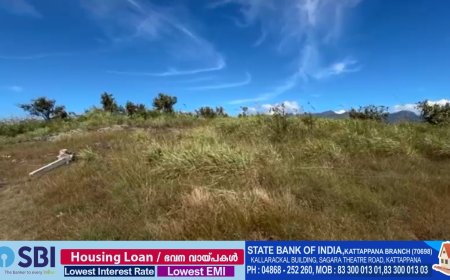 ഇടുക്കിയിൽ റവന്യൂ പുറംമ്പോക്ക് ഭൂമിയിൽ വ്യാപക കൈയേറ്റം