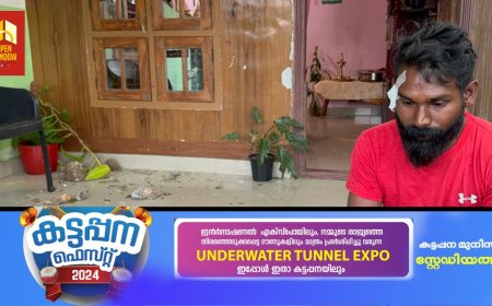 വണ്ടിപ്പെരിയാർ മ്ലാമലയിൽ യുവാവിനെ അയൽവാസി വീട് കേറി മർദ്ദിച്ചതായി പരാതി