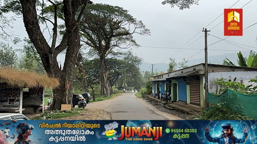 വണ്ടിപ്പെരിയാർ മൂങ്കലാർ റോഡിൽ വാളാടിയിൽ റോഡരുകിൽ അപകട ഭീതി പരത്തി നിൽക്കുന്ന വൻ മരങ്ങളുടെ ശിഖരങ്ങൾ ശരിയായ രീതിയിൽ മുറിച്ചു നീക്കണമെന്ന് ആവശ്യം ശക്തം