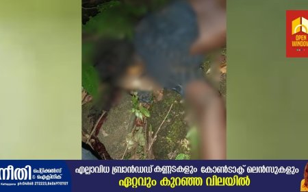 കുട്ടിക്കാനത്തിന് സമീപം കാർ കൊക്കയിലേക്ക് മറിഞ്ഞ് യുവാവ് മരിച്ചു