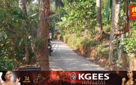 കട്ടപ്പന കൈരളി ജംഗ്ഷന് സമീപം ഈട്ടിമരവും തെങ്ങും അപകട ഭീഷണി സൃഷ്ടിക്കുന്നതായി പരാതി ഉയരുന്നു