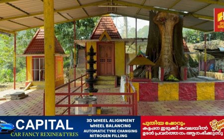 വണ്ടിപ്പെരിയാർ ഡൈമുക്ക് ദേവീക്ഷേത്രത്തിൽ വീണ്ടും മോഷണം നടന്നു