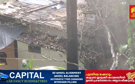 വണ്ടിപ്പെരിയാറിൽ 
 വീടിന് മുകളിലേക്ക് മരം ഒടിഞ്ഞ് വീണ് അപകടം