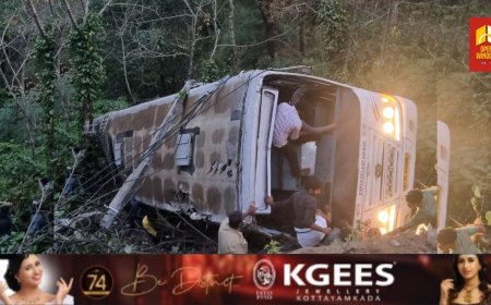 പുല്ലുപാറ ബസ് അപകടം; മൂന്നു പേർ മരിച്ചു, രണ്ടു പേരെ തിരിച്ചറിഞ്ഞു