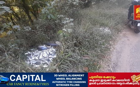 സംസ്ഥാന പാതയിൽ  ഉപയോഗശൂന്യമായ മത്സ്യങ്ങൾ തള്ളിയതായി പരാതി. അയ്യപ്പൻകോവിൽ  മേരികുളം നിരപ്പേൽകടയിലാണ് ഈ സാമൂഹ്യ വിരുദ്ധ പ്രവർത്തനം നടന്നത്
