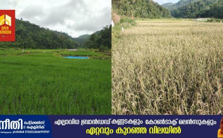 കട്ടമുടിക്കുടിയിൽ കൊയ്ത്തുത്സവം : മന്ത്രി ഒ.ആർ കേളു  ഉദ്‌ഘാടനം ചെയ്യും