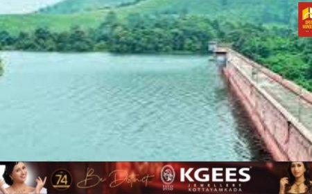 മുല്ലപ്പെരിയാർ: പുതിയ മേൽനോട്ടസമിതി രൂപവത്കരിച്ചു; അധ്യക്ഷൻ ഡാം സേഫ്റ്റി അതോറിറ്റി ചെയർമാൻ