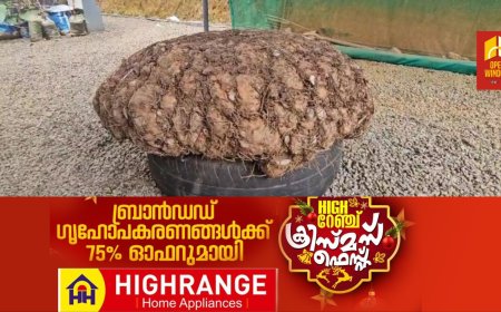 ഇത്തവണയും പതിവ് തെറ്റിക്കാതെ ഭീമന്‍ ചേന വിളയിച്ചിരിക്കുകയാണ് അടിമാലി കൂമ്പന്‍പാറ സ്വദേശിയും കര്‍ഷകനുമായ അമ്പലത്തിങ്കല്‍ സുരേന്ദ്രന്‍