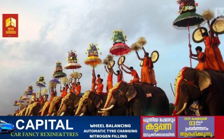 ഉത്സവങ്ങൾ തടസ്സപ്പെടുത്താൻ നീക്കം’: ആന എഴുന്നള്ളിപ്പ് നിയന്ത്രണങ്ങൾക്കുള്ള സ്റ്റേ തുടരും