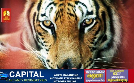 വയനാട്ടില്‍ കടുവയുടെ ആക്രമണത്തില്‍ സ്ത്രീ കൊല്ലപ്പെട്ടു; സ്ഥലത്ത് സംഘര്‍ഷം