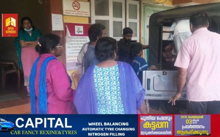 അയ്യപ്പൻകോവിൽ ആറേക്കറിൽ തേനീച്ച ആക്രമണം; ഏഴ് തോഴിലാളികൾക്ക് പെരും തേനിച്ചയുടെ കുത്തേറ്റു