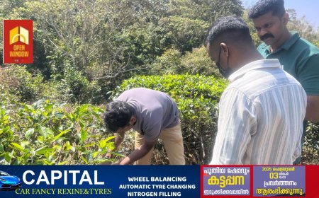 വണ്ടിപ്പെരിയാറിൽ  പുലിയുടെ ആക്രമണം; ആട് ചത്തു