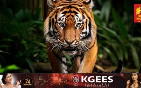 അയ്യപ്പൻകോവിൽ ചപ്പാത്ത് ആലടിയിൽ പുലിയിറങ്ങിയതായി അഭ്യൂഹം