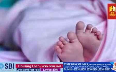 ഇടുക്കിയിൽ 14 കാരി പ്രസവിച്ചു, പെണ്‍കുട്ടി ഗര്‍ഭിണിയായത് ബന്ധുവായ 14കാരനില്‍ നിന്ന്