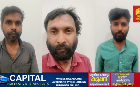 അണക്കര അമ്പലമേട്ടിൽ സ്വകാര്യ വ്യക്തിയുടെ ഏലത്തോട്ടത്തിൽ നിന്നും ചരത്തോടെ ഏലക്ക മോഷ്ടിച്ച 3 പേർ അറസ്റ്റിൽ