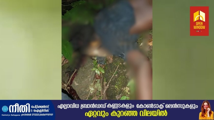 കുട്ടിക്കാനത്തിന് സമീപം കാർ കൊക്കയിലേക്ക് മറിഞ്ഞ് യുവാവ് മരിച്ചു