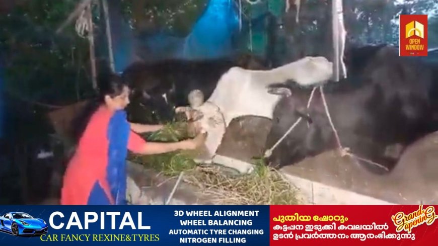 2025-ലെ കേരള ബാങ്ക് - കലണ്ടർ മുഖചിത്രത്തിൽ എഴുകുംവയൽ സ്വദേശി പകർത്തിയ ചിത്രവും
