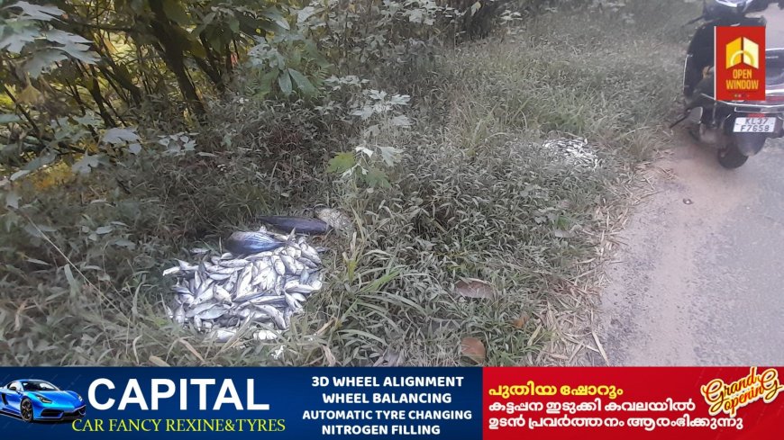 സംസ്ഥാന പാതയിൽ  ഉപയോഗശൂന്യമായ മത്സ്യങ്ങൾ തള്ളിയതായി പരാതി. അയ്യപ്പൻകോവിൽ  മേരികുളം നിരപ്പേൽകടയിലാണ് ഈ സാമൂഹ്യ വിരുദ്ധ പ്രവർത്തനം നടന്നത്