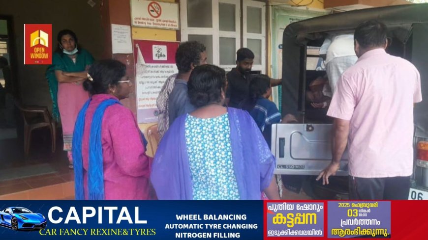 അയ്യപ്പൻകോവിൽ ആറേക്കറിൽ തേനീച്ച ആക്രമണം; ഏഴ് തോഴിലാളികൾക്ക് പെരും തേനിച്ചയുടെ കുത്തേറ്റു