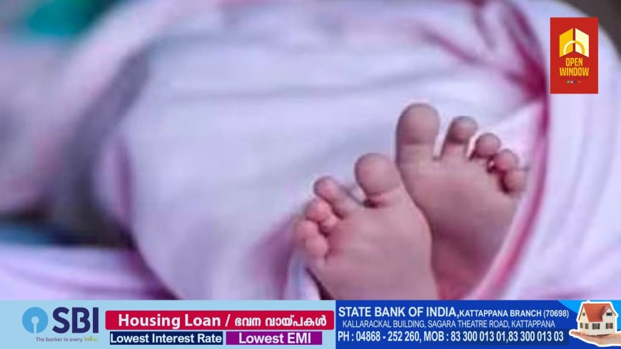 ഇടുക്കിയിൽ 14 കാരി പ്രസവിച്ചു, പെണ്കുട്ടി ഗര്ഭിണിയായത് ബന്ധുവായ 14കാരനില് നിന്ന്