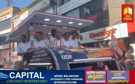 ഇടുക്കി ജില്ലയിലെ സിപിഐഎം കാർ മുഴുവൻ കയ്യേറ്റക്കാർക്കൊപ്പമാണെന്ന് പ്രതിപക്ഷ നേതാവ് വി ഡി സതീശൻ