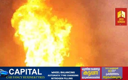 പാലായിൽ ഭാര്യാമാതാവിനെ പെട്രോളൊഴിച്ച് തീകൊളുത്തി കൊന്നു, തീയിട്ട മരുമകനും പൊള്ളലേറ്റ് മരിച്ചു