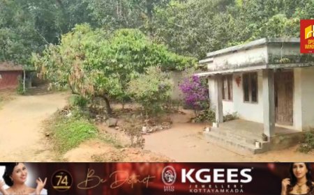 വന്യമൃഗങ്ങൾ ഓരോ ദിവസവും മനുഷ്യരെയും വളർത്തു മൃഗങ്ങളെയും കൊന്നൊടുക്കുമ്പോൾ കടുത്ത ഭീതിയിൽ കഴിയുകയാണ് ഇടുക്കി വാഴത്തോപ്പ് മണിയാറൻകുടി നിവാസികൾ