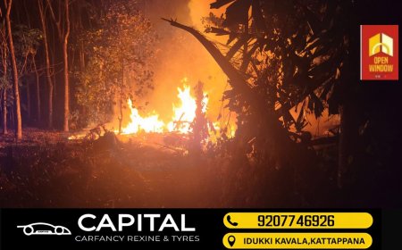 കാട്ടുതീ തടയാൻ വനം വകുപ്പ് തീയിട്ടു;
ജന്മനാ ബധിരയും മൂകയുമായ വീട്ടമ്മയുടെ അരയേക്കറോളം സ്ഥലം കത്തി നശിച്ചു.