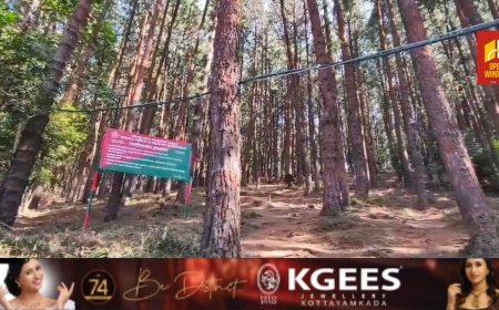 പീരുമേട് തട്ടാത്തിക്കാനം പൈൻകാട്  സന്ദർശനത്തിന്  പ്രവേശന ഫീസ് ഏർപ്പെടുത്തിയ  വനം വകുപ്പ് നടപടിയിൽ  വ്യാപക പ്രതിഷേധം. വന്യമൃഗ ശല്യത്തിന് പരിഹാരം കാണാത്ത വനം വകുപ്പ് വരുമാന മാർഗ്ഗം തേടുകയാണെന്ന്  കോൺഗ്രസ്