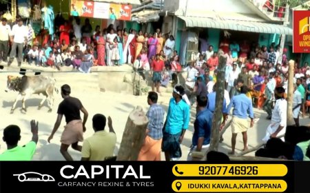 ദ്രാവിഡ കാർഷിക സംസ്കാരത്തിന്റെ ഓർമ്മപ്പെടുത്തലുമായി ഇടുക്കി വട്ടവടയിൽ മഞ്ചുവിരട്ട് നടന്നു