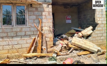 ചിന്നക്കനാൽ 301 കോളനിയിൽ കാട്ടാന ആക്രമണം;രണ്ട്  വീടുകൾ തകർത്തു