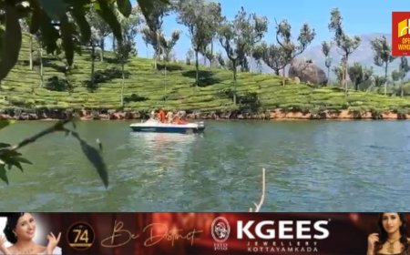 ആനയിറങ്കൽ ജലാശയത്തിൽ രണ്ട് പേരെ കാണാതായതായി സംശയം; തിരച്ചിൽ തുടരുന്നു