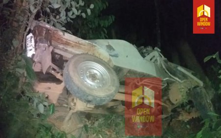 പന്നിയാർകുട്ടിയിൽ വാഹനം കൊക്കയിലേക്ക് മറിഞ്ഞ് രണ്ട് പേർ മരിച്ചു;മരിച്ചത്,ഒളിമ്പ്യൻ ബീനാമോളുടെ സഹോദരി റീന, ഭർത്താവ് ബോസ് എന്നിവർ