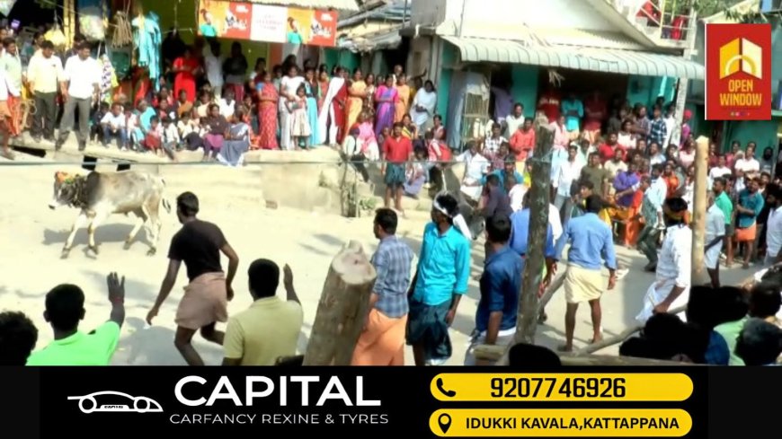 ദ്രാവിഡ കാർഷിക സംസ്കാരത്തിന്റെ ഓർമ്മപ്പെടുത്തലുമായി ഇടുക്കി വട്ടവടയിൽ മഞ്ചുവിരട്ട് നടന്നു