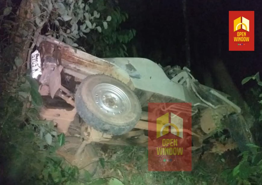 പന്നിയാർകുട്ടിയിൽ വാഹനം കൊക്കയിലേക്ക് മറിഞ്ഞ് രണ്ട് പേർ മരിച്ചു;മരിച്ചത്,ഒളിമ്പ്യൻ ബീനാമോളുടെ സഹോദരി റീന, ഭർത്താവ് ബോസ് എന്നിവർ