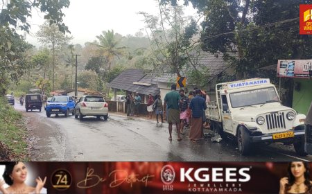 കട്ടപ്പന നത്തുകല്ലിൽ വാഹനാപകടം