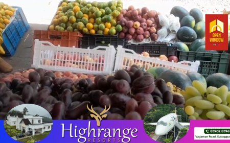 വേനൽ ചൂട് ഉയന്നക്കോടെ പഴവർഗ്ഗങ്ങളുടെ വിൽപ്പനയും വർദ്ധിച്ചു