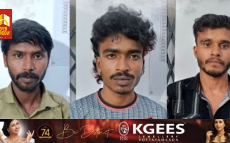 കഞ്ഞിക്കുഴിയിൽ വീട്ടിൽ നിന്ന് കുരുമുളക് മോഷ്ടിച്ച 3 യുവാക്കൾ അറസ്റ്റിൽ -