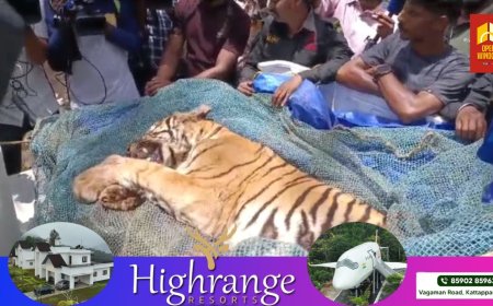 വണ്ടിപ്പെരിയാറിന് സമീപം അരണക്കല്ലിൽ വെടിയേറ്റ് ചത്ത കുടുവയുടെ പോസ്റ്റ് മോർട്ടം നടപടികൾ പൂർത്തിയായി