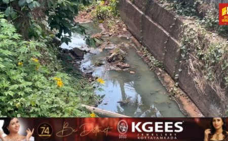 മാലിന്യവാഹിനിയായി കട്ടപ്പനയാർ